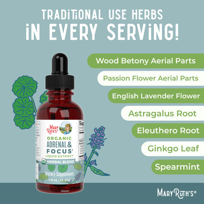 MaryRuth Organics - USDA Organic Brain Nootropic Supplement for Adults with Ginkgo Biloba & Astragalus | Focus & Adrenal Support | Brain & Memory Drops | Vegan | Non-GMO | Gluten Free | 30 Servings MARYRUTH'SBuy Supplements Australia