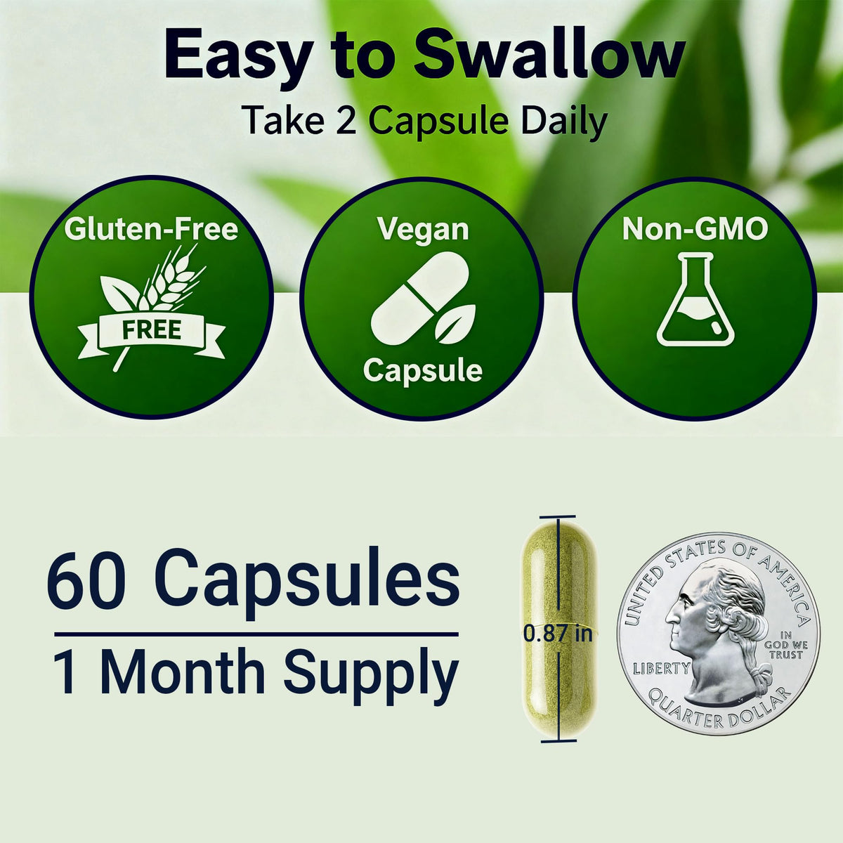 Sea Moss Black Seed Oil Ashwagandha Ginger - Advanced Irish Sea Moss Capsules All in One Supplement with Seamoss Black Seed Oil Ashwagandha Burdock Root Bladderwrack - Pills for Energy, Immune, Gut Opti HealthBuy Supplements Australia