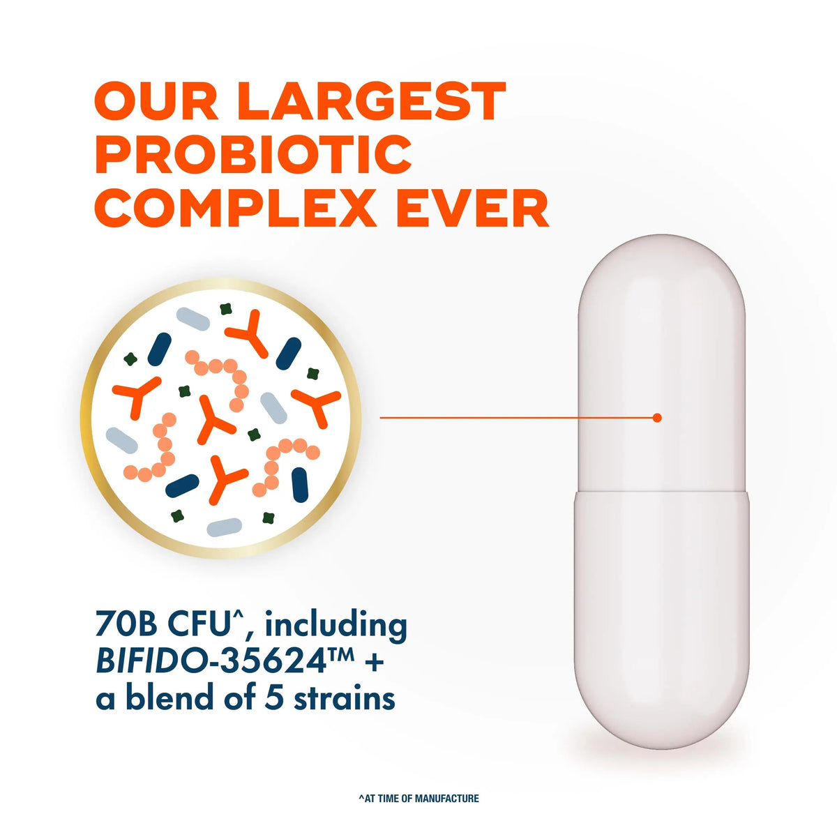 Align Probiotic, 70 Billion CFU, 6 Strain Blend, Probiotics for Women and Men, Daily Probiotics for Digestive Health, Helps Relieve Occasional Bloating & Gas 30 Capsules AlignBuy Supplements Australia