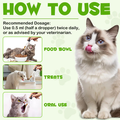 Liquid Cat Probiotic, Natural 3 in 1 Probiotic for Cats, Cat Digestive Support,Gut Health Support,Help with Diarrhea,Gas and Bloating, Cat Herbal Supplements- 60ml VOSIFSDIY buy supplements Au