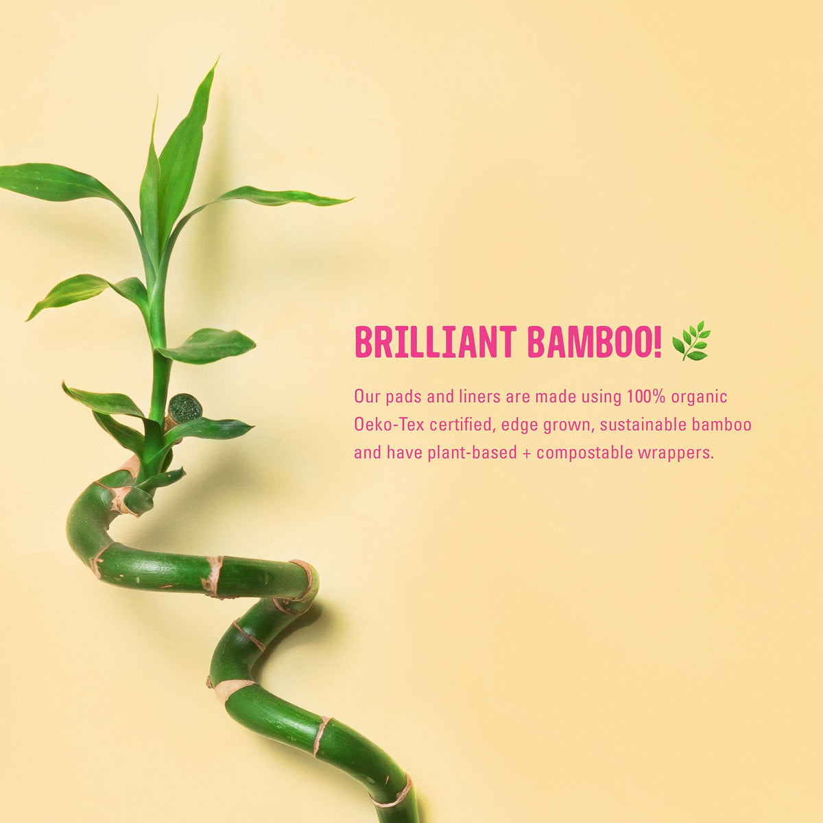FLO - Organic Bamboo Daily Panty Liners, Plant-Based Cotton, Biodegradable FLOBuy Supplements Australia