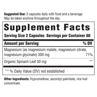 INNATE Response Formulas Magnesium 300 mg - Mineral Supplement for Muscle Relaxation - Vegetarian and Gluten-Free - 120 Capsules (60 Servings) INNATE Response FormulasBuy Supplements Australia