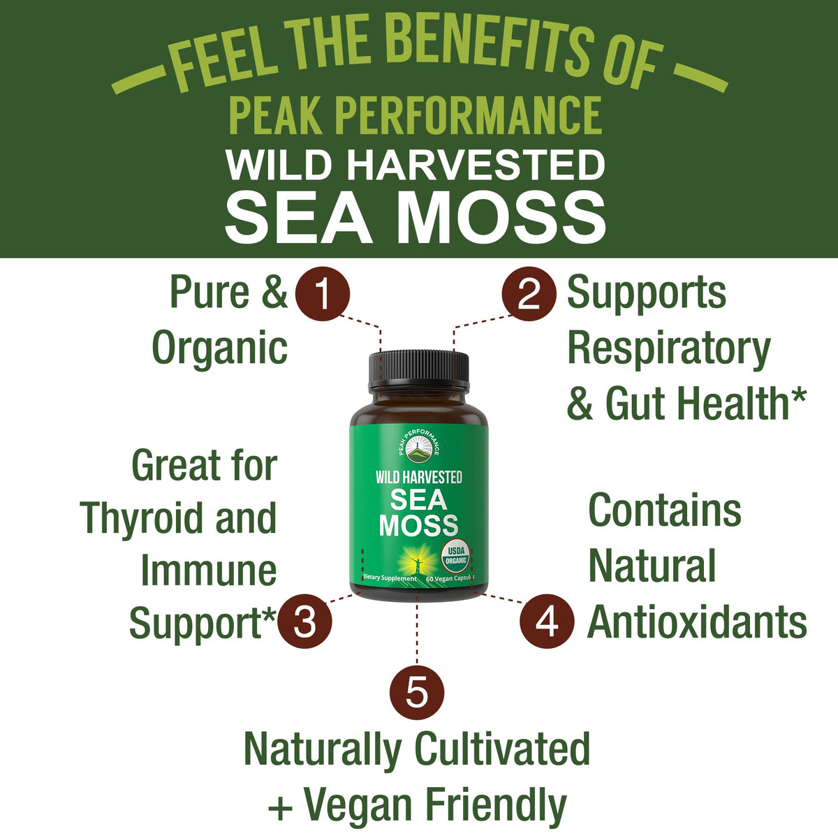 Organic Sea Moss Capsules. Wild Harvested Sea Moss Raw Organic Vegan Supplement from Red Algae Seaweed. 100% Whole Extract Raw Irish SeaMoss Superfood Pills. for Gut, Respiratory, Immune Support. Peak PerformanceBuy Supplements Australia