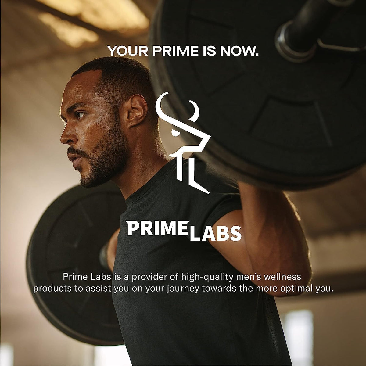 Prime Labs Creatine HCl Capsules - with CON-CRĒT®, Rhodiola Root Extract, & L-Theanine - Muscle Support, Endurance, Cognitive Function - for Men & Women - 60 Pills Prime LabsBuy Supplements Australia