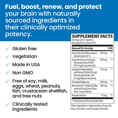 NeuroQ Memory & Focus - Boosts Cognitive Performance & Healthy Brain Function - Neuroprotective Formula by Dr. Dale Bredesen - Gotu Kola Ginkgo Phosphatidylserine Coffee Fruit & Propolis - 60 Capsules LifeSeasonsBuy Supplements Australia