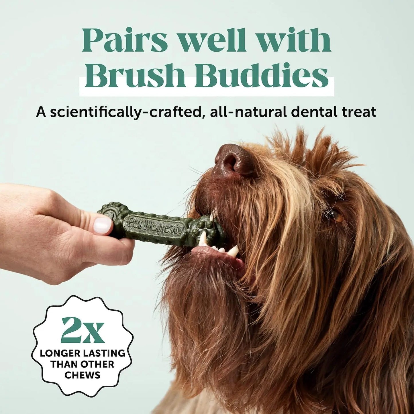 Dog Breath Freshener Dental Powder for Teeth Cleaning Plaque Off, Dental Care for Dogs, Tartar Remover for Teeth with Natural Herbal Blend + Postbiotics (Mint - 30 Servings) Pet HonestyBuy Supplements Australia