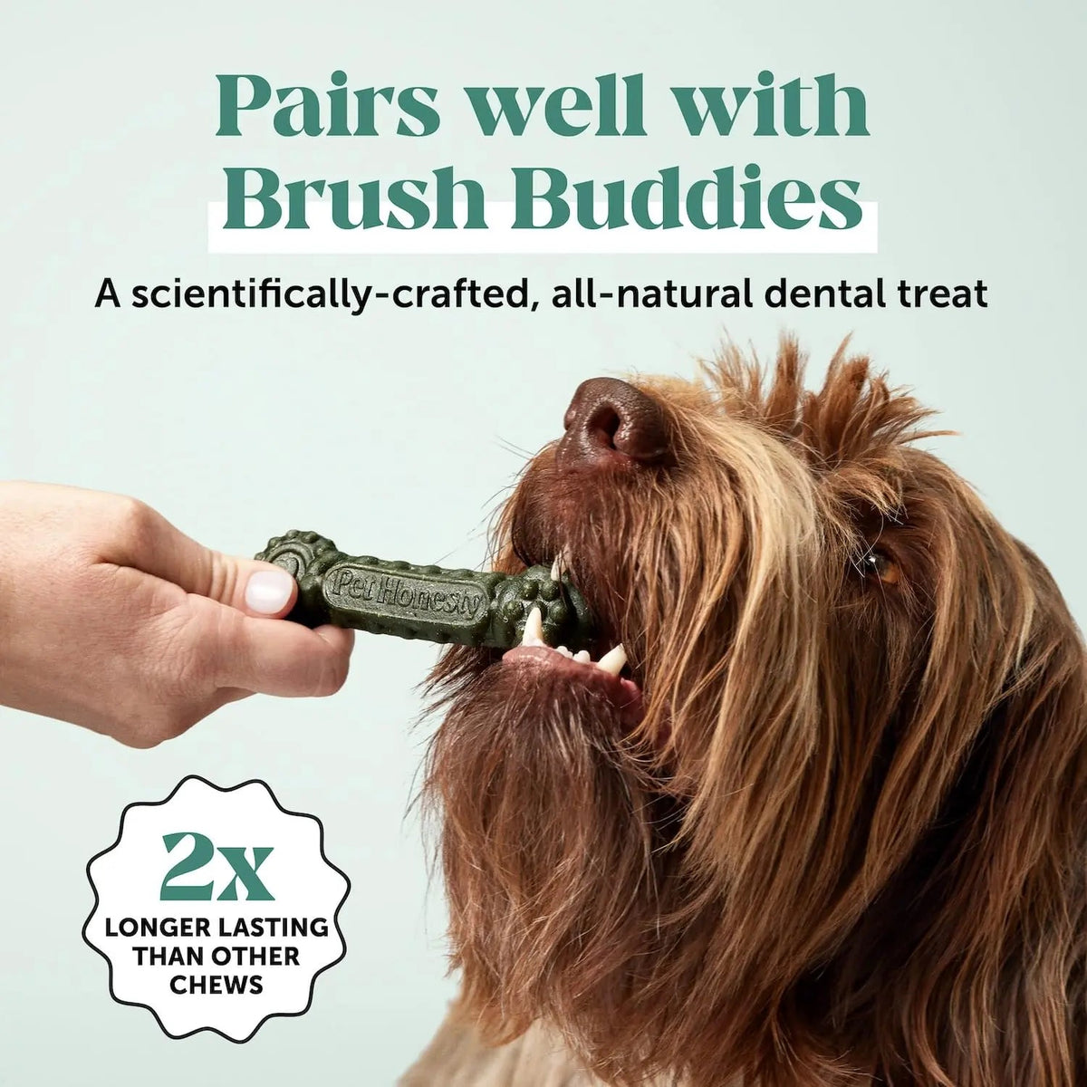 Dog Breath Freshener Dental Powder for Teeth Cleaning Plaque Off, Dental Care for Dogs, Tartar Remover for Teeth with Natural Herbal Blend + Postbiotics (Mint - 30 Servings) Pet HonestyBuy Supplements Australia