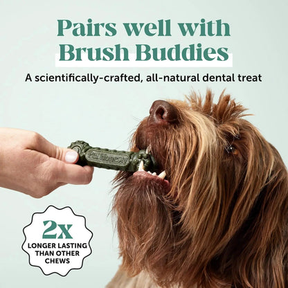 Dog Breath Freshener Dental Powder for Teeth Cleaning Plaque Off, Dental Care for Dogs, Tartar Remover for Teeth with Natural Herbal Blend + Postbiotics (Mint - 30 Servings) Pet HonestyBuy Supplements Australia