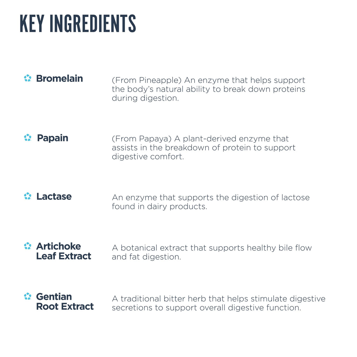 Revive MD Digest Aid, Digestive Support Supplement for Men & Women - Comprehensive Digestive Enzyme Blend with Probiotics & Prebiotics for Gut Health & Healthy Digestion