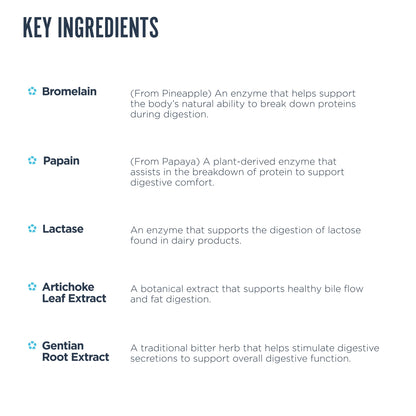 Revive MD Digest Aid, Digestive Support Supplement for Men & Women - Comprehensive Digestive Enzyme Blend with Probiotics & Prebiotics for Gut Health & Healthy Digestion