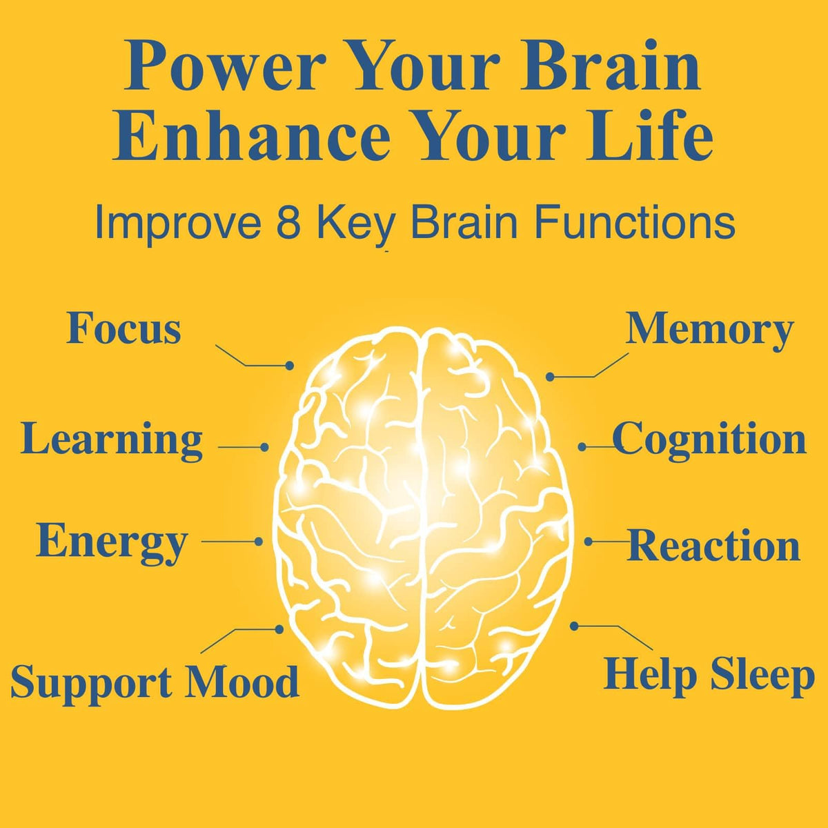 OPTINOURISH Brain Supplement for Memory and Focus, Nootropic for Adults, Fuel Brain Energy & Mental Clarity, Caffeine Free,Cognitive Support, Doctor-Formulated, Made in USA,cGMP,120 Caps OPTINOURISHBuy Supplements Australia