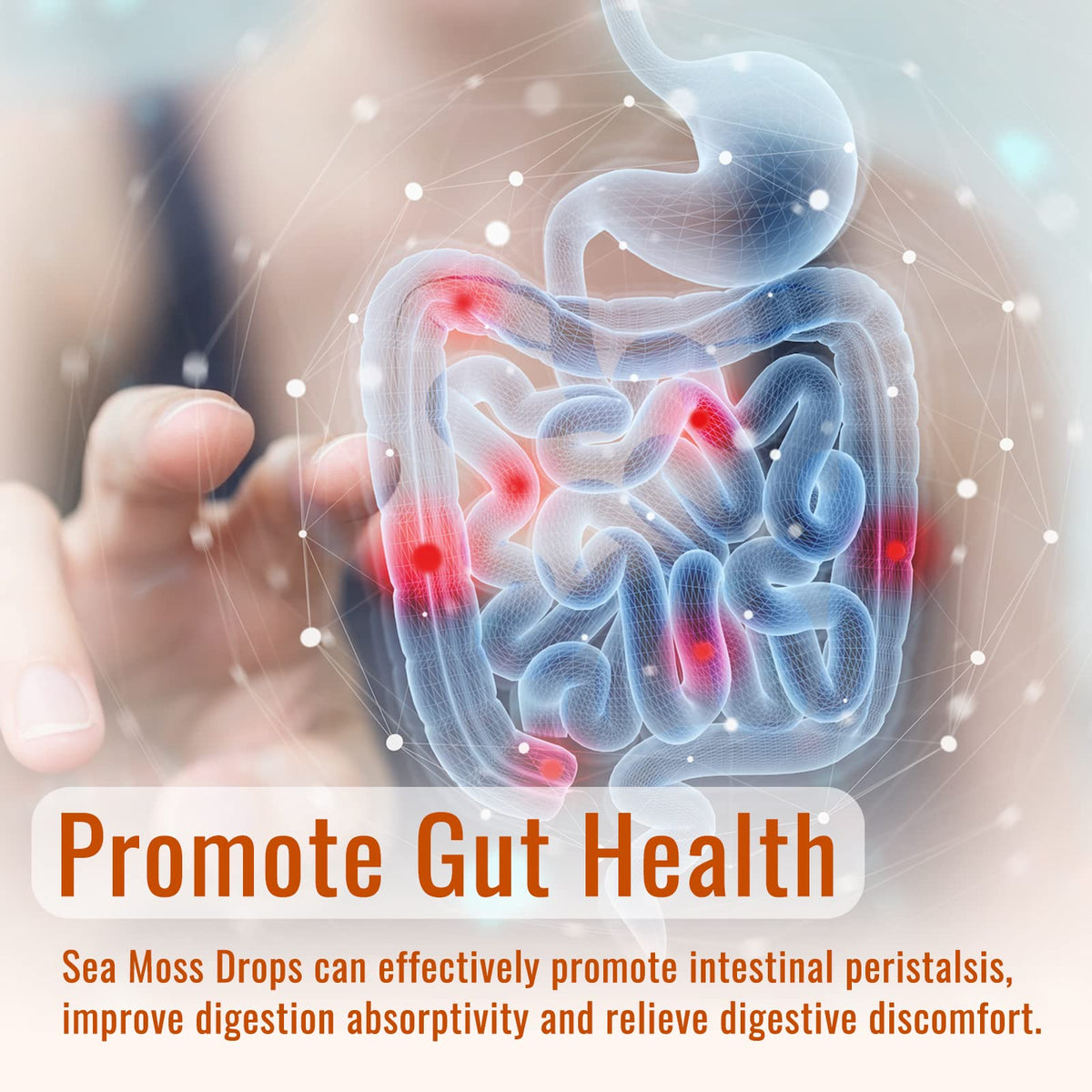 Sea Moss Liquid Drops: Organic Irish Sea Moss 2500mg with Turmeric, Bladderwrack dilibBuy Supplements Australia