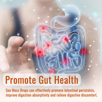 Sea Moss Liquid Drops: Organic Irish Sea Moss 2500mg with Turmeric, Bladderwrack dilibBuy Supplements Australia