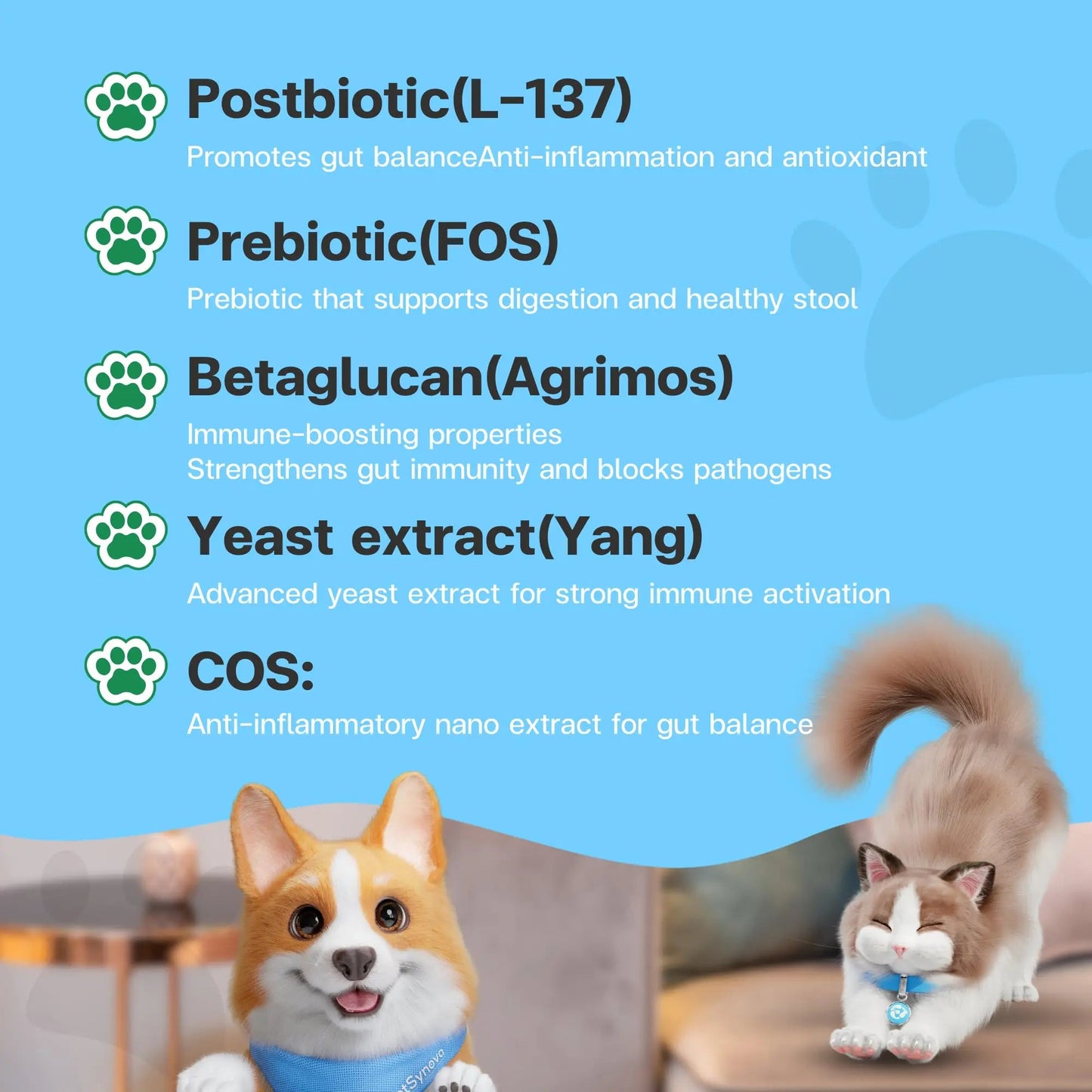 VFcare BIO Supplement for Cats & Dogs – Anti Diarrhea for Dogs, Gut Health Paste with Postbiotics, Prebiotics, FOS, L-137, Yeast Extract – Anti Diarrhea for Dogs, 30 Sachets VFCAREBuy Supplements Australia