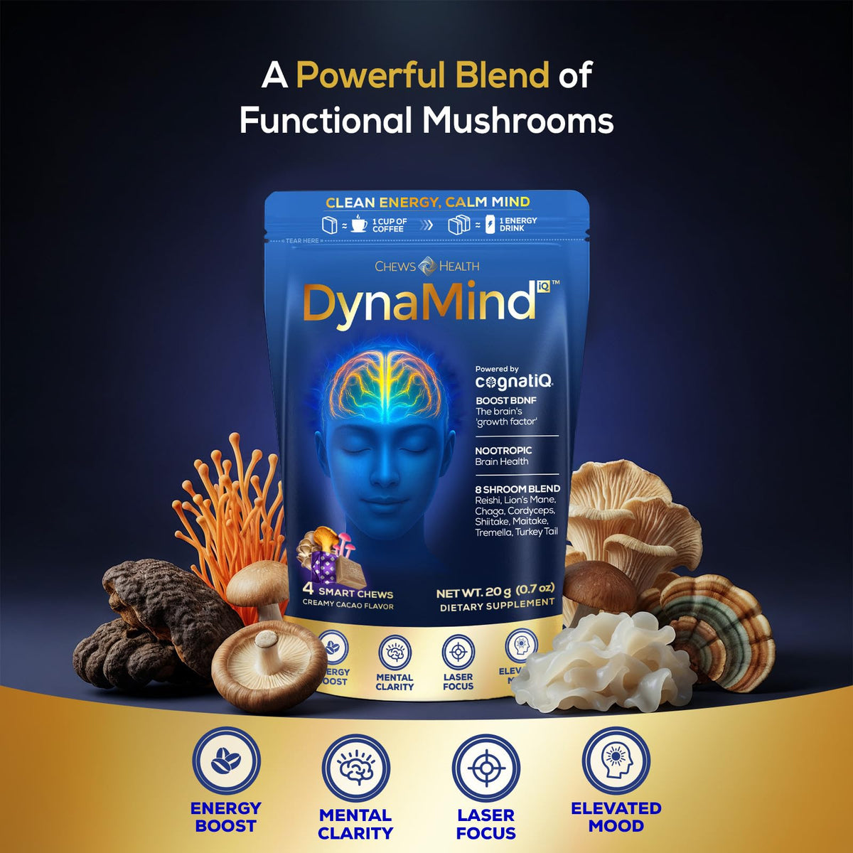 DynaMind iQ Brain Supplement for Memory and Focus for Adults - Nootropic Chews | Coffee Fruit & Mushroom Supplement Blend, Memory Focus Supplement, Caffeine Focus Pills Alternative, 4 Count CHEWSHEALTHBuy Supplements Australia