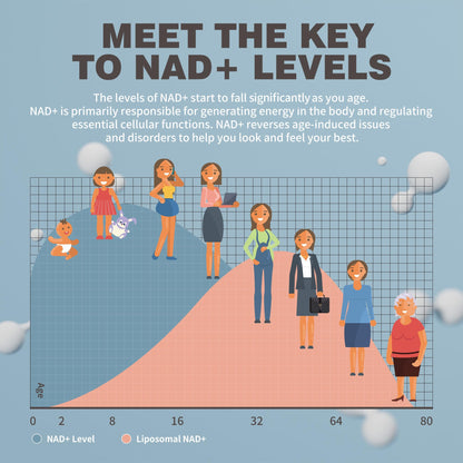 NIUSISE NAD Gummies Sugar Free, NAD+ Supplement with Liposomal Nicotinamide Riboside, Resveratrol, Quercetin, NAD Supplement for Anti-Aging, Energy, Cellular Health, Blueberry Flavor, 60 Gummies NIUSISEBuy Supplements Australia