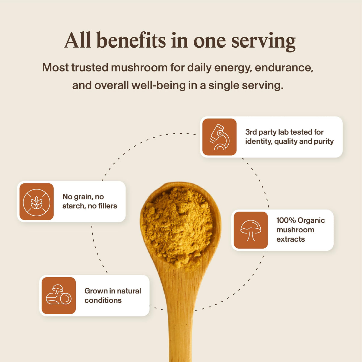Real Mushrooms Capsules Supplements - Organic Cordyceps Mushroom Powder in Capsules - Energy and Performance Mushrooms with Verified Beta Glucans - Vegan, Non-GMO, 300 Capsules Real Mushrooms buy supplements Au