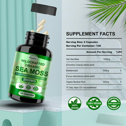 Fleamart Irish Sea Moss Capsules 120ct Raw Organic Sea Moss Wildcrafted Bladderwrack FleamartBuy Supplements Australia