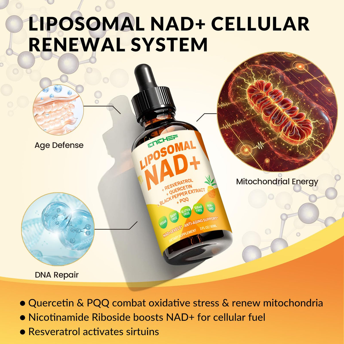 CNCHEF Liposomal NAD Supplement - 1500mg NAD+ Liquid Drop for Women & Men Nicotinamide Riboside Chloride & Resveratrol Complex - Cellular Renewal, Anti-Aging Support - 30 Servings (2 fl oz) CNCHEFBuy Supplements Australia