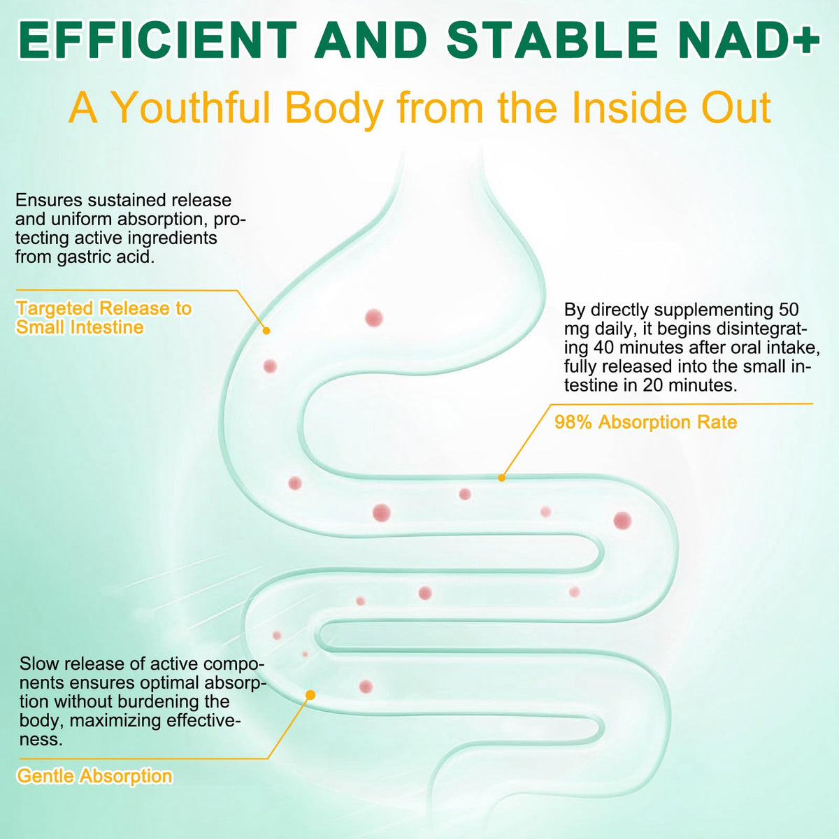 NAD Supplement 120 Capsules, Liposomal Nicotinamide Riboside, Resveratrol, Quercetin, NAD Nicotinamide Riboside Resveratrol 910mg for Women & Men, NAD Supplement for Anti Aging and Cell Regeneration KZUOBuy Supplements Australia