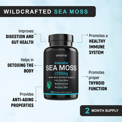 Certified Organic Sea Moss Capsules 2250mg Wildcrafted Irish Sea Moss Burdock Root SPARTISBuy Supplements Australia