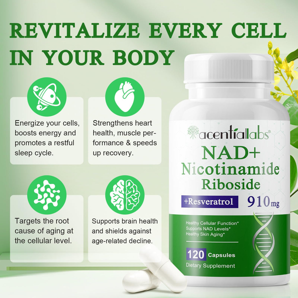 XINSZLIN NAD Supplement, NAD Nicotinamide Riboside Resveratrol 910mg, High Purity NAD Supplement for Healthy Cellular Function, Supports NAD Levels Healthy Skin Aging Dietary Supplement 120 Capsules XINSZLINBuy Supplements Australia