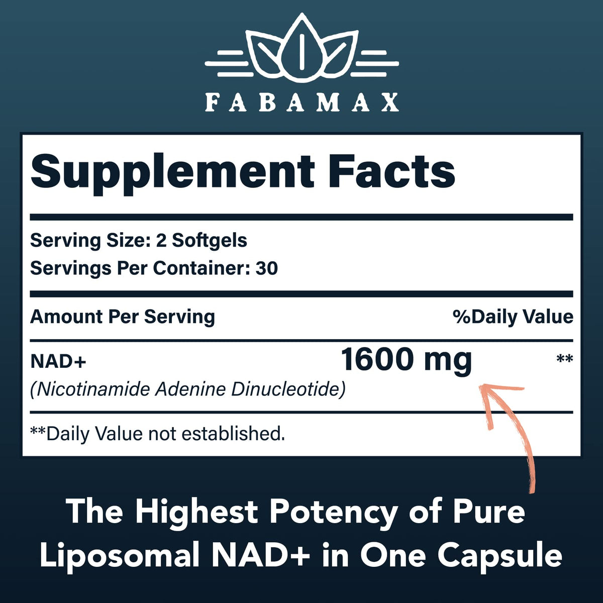 Fabamax 1600 mg Liposomal NAD Supplement, 98% Pure NAD+ Supplement, Superior Absorption, Alternative to Nicotinamide Riboside or NADH to Boost NAD+ for Aging Defense, Energy, Longevity, 120 Softgels FabamaxBuy Supplements Australia