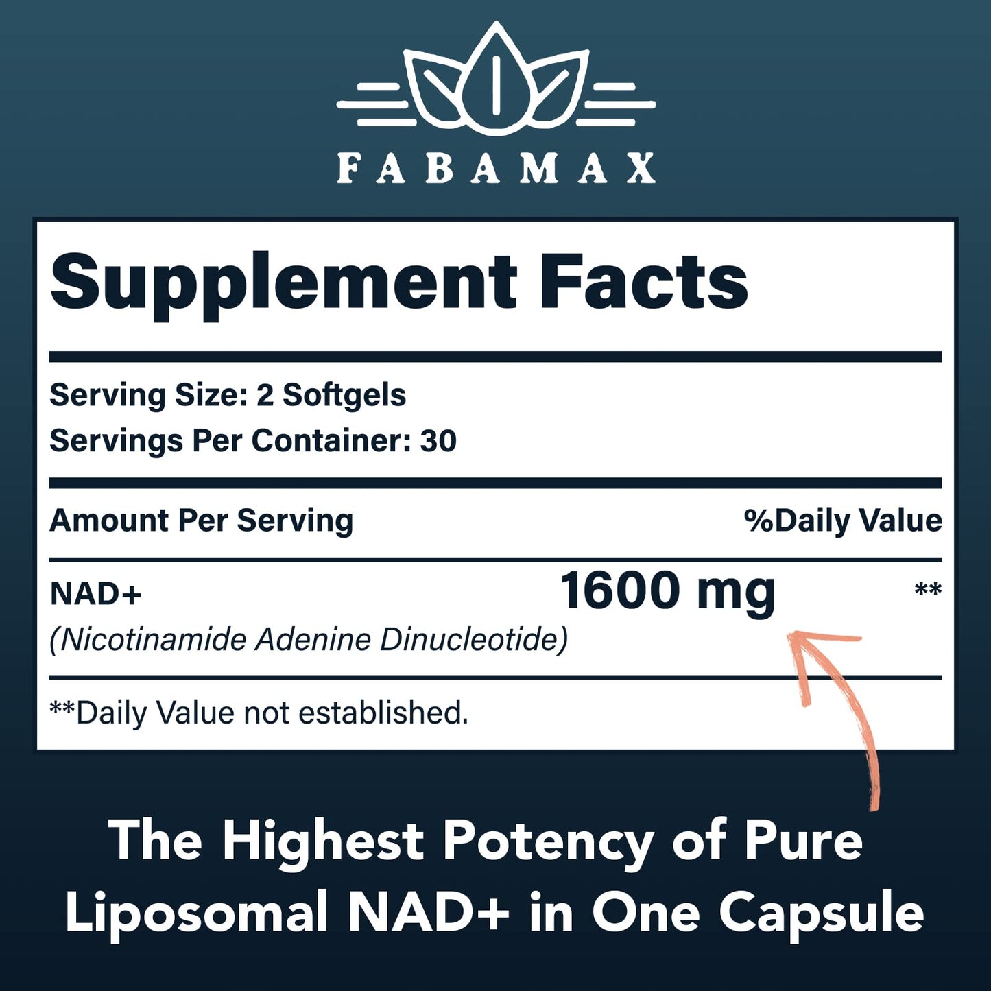 Fabamax 1600 mg Liposomal NAD Supplement, 98% Pure NAD+ Supplement, Superior Absorption, Alternative to Nicotinamide Riboside or NADH to Boost NAD+ for Aging Defense, Energy, Longevity, 120 Softgels FabamaxBuy Supplements Australia