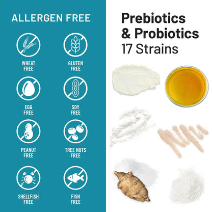 NatureWise Probiotics 60 Billion CFU - 17 Strains + Organic Prebiotics - Immune, Digestive & Gut Health Support for Women & Men - Vegetarian, Gluten-Free, Non-GMO - 30 Capsules[1-Month Supply] NatureWiseBuy Supplements Australia