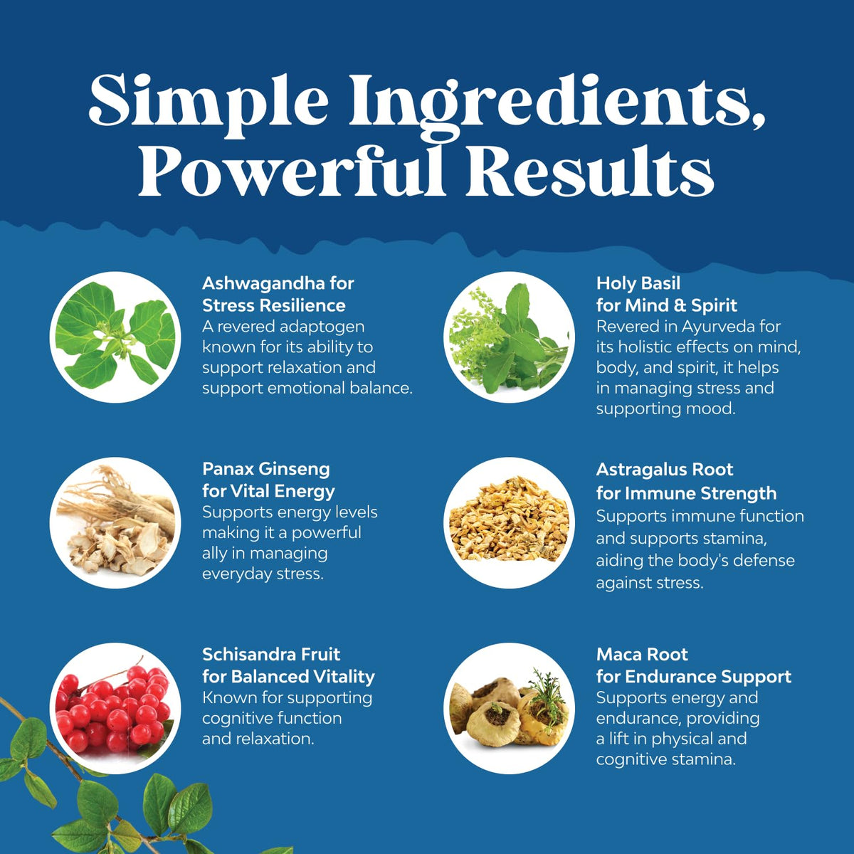Herbal Adaptogen Mood Support Supplement - Calming Adaptogens Supplement for Stress & Cortisol Management with Ashwagandha Rhodiola Rosea & Maca Root - Vegan & Daytime Friendly - 60 Count Natures CraftBuy Supplements Australia