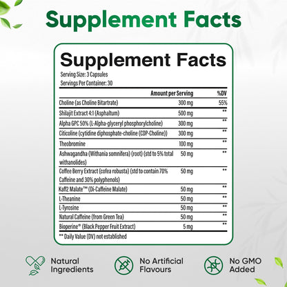 12-in-1 Natural Nootropic Brain Supplement for Memory and Focus, Nootropic for Men & Women, Brain Support Pill for Adults, Brain Vitamins - Focus 30 Day Supply Executive FocusBuy Supplements Australia