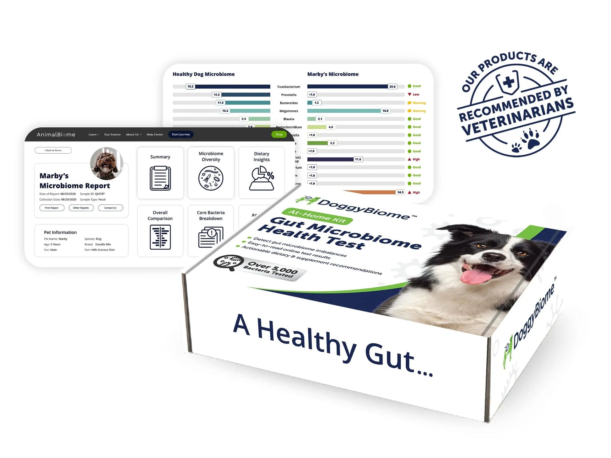 AnimalBiome Dog Gut Health Test – DoggyBiome At Home Stool Testing Kit, Canine Fecal Analysis for Digestive Issues, Diarrhea & Allergy Insights w/Personalized Report & Custom Plan (Dogs in US) AnimalBiomeBuy Supplements Australia