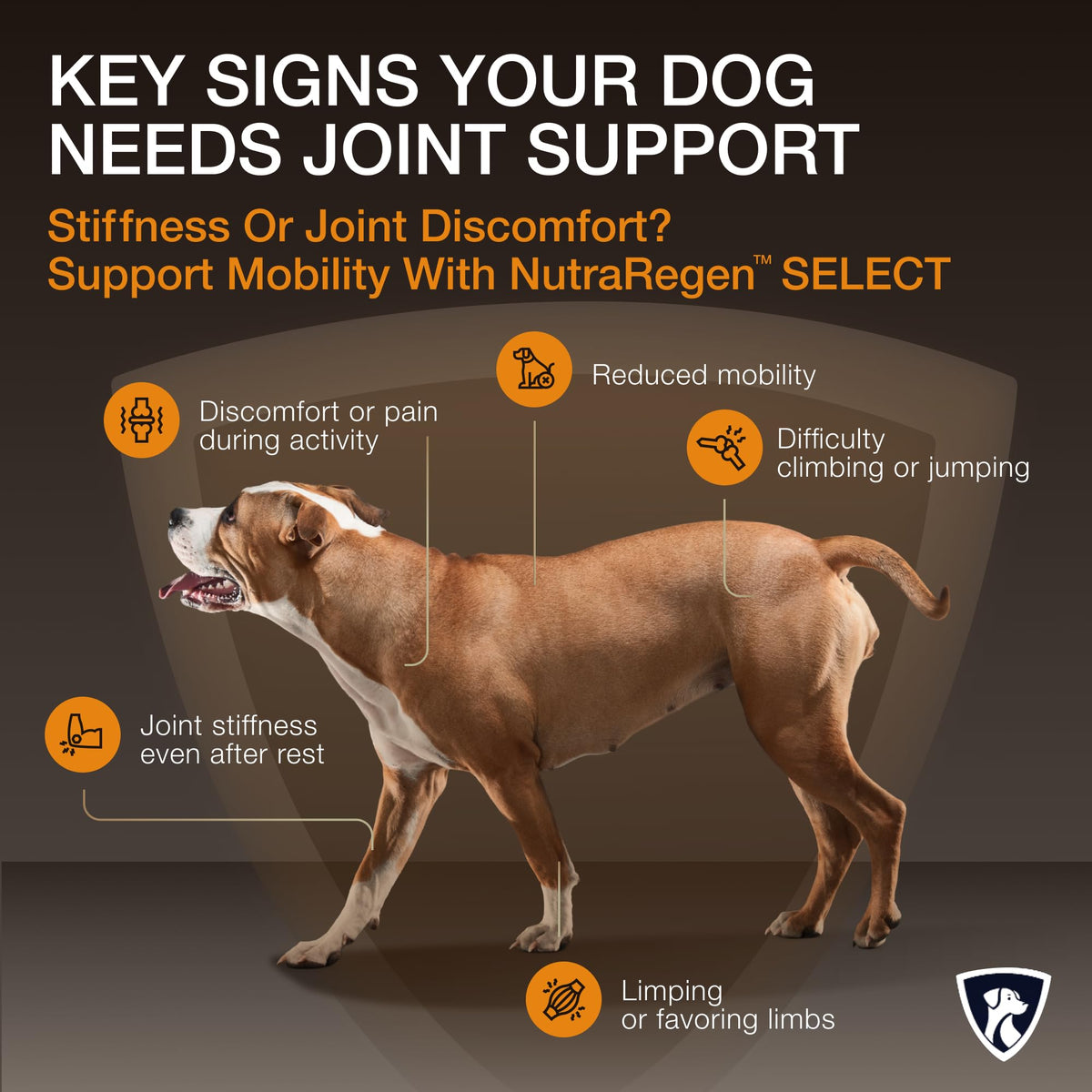 NutraRegen Select Senior Dog Joint Supplement 45 Scoops | Natural Glucosamine Chondroitin for Dogs with Collagen | Hip and Joint Powder | 7.7 Oz NutraRegenBuy Supplements Australia