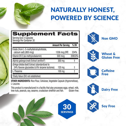 BioTrust Brain Bright – Daily Nootropic Boost for Focus, Concentration, Mental Clarity – Caffeine Free Nootropics Brain Support Supplement – Thai Ginger, Ginkgo, Folate, L-Theanine – 30 Servings BioTrustBuy Supplements Australia