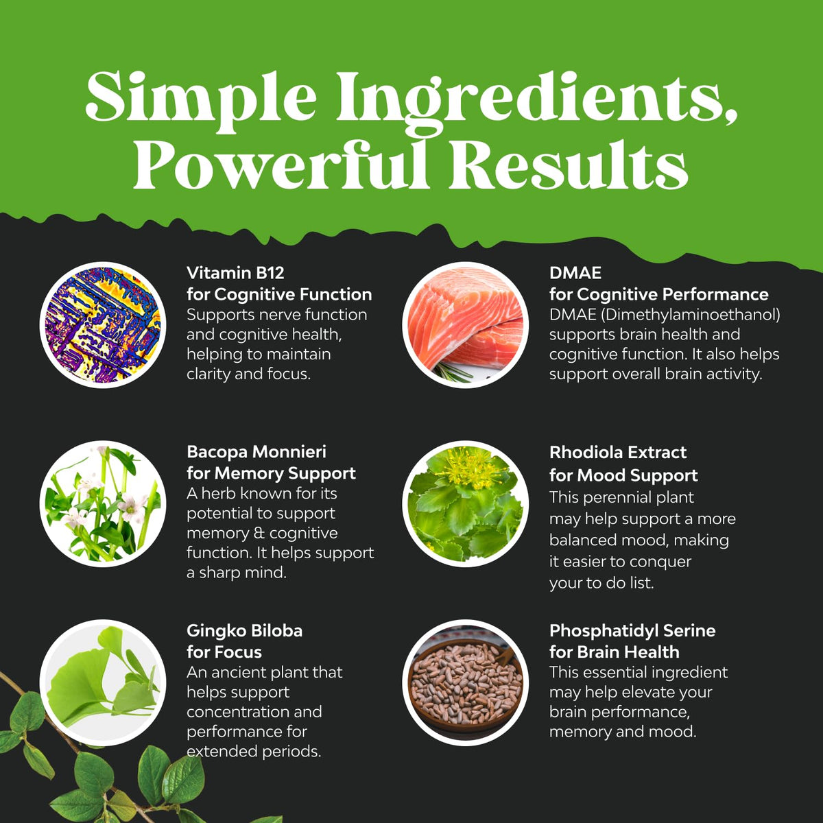 Nootropic Memory Supplement for Brain Support - Memory Pills for Brain Boost and Natural Energy Booster - Vitamin B 12 Bacopa Monnieri Rhodiola Rosea DMAE Ginkgo Biloba Phosphatidylserine Supplement Natures CraftBuy Supplements Australia
