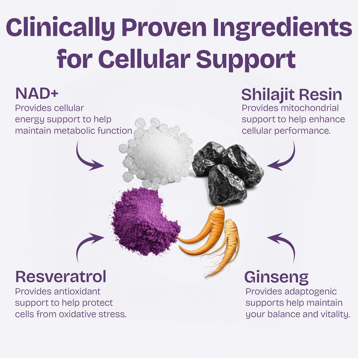 NAD Supplements for Women with Resveratrol, 1000mg Liposomal Nicotinamide Riboside with Quercetin, NMN Supplement Alternative Supports Cellular Energy & Repair, 120 NAD Gummies for Brain Boost ShaileeBuy Supplements Australia