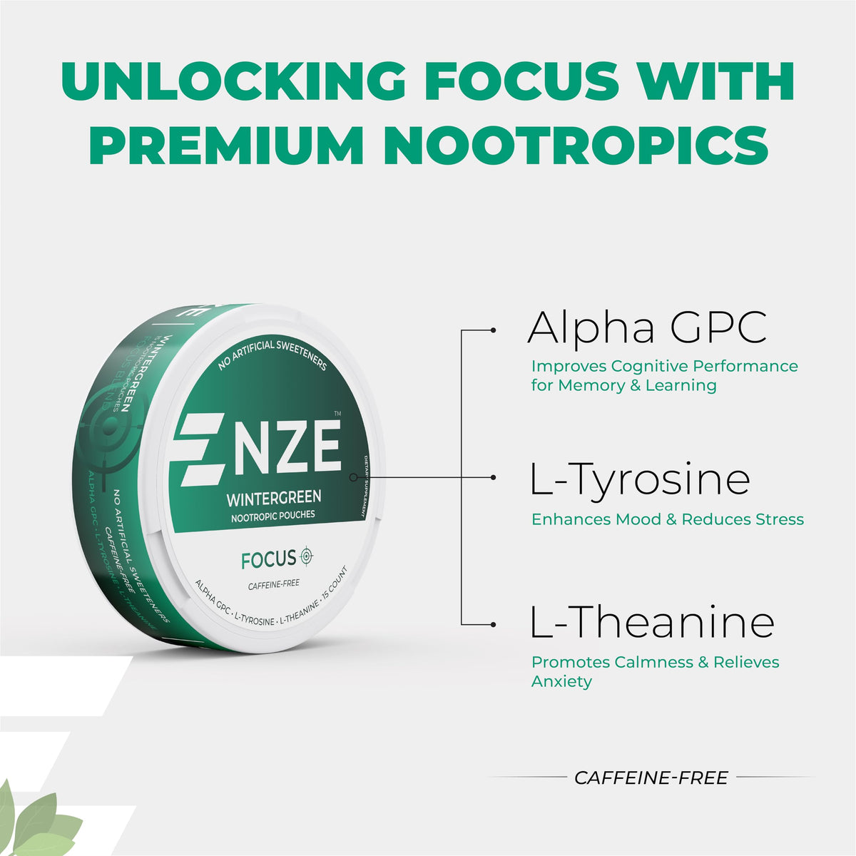 NZE Caffeine Free Nootropic Pouches (Wintergreen) - Nootropic Pouches with Alpha GPC, L-Tyrosine & L-Theanine - No Sugar or Artificial Sweeteners - 15 Pouches Per Can - 5 Pack NZEBuy Supplements Australia