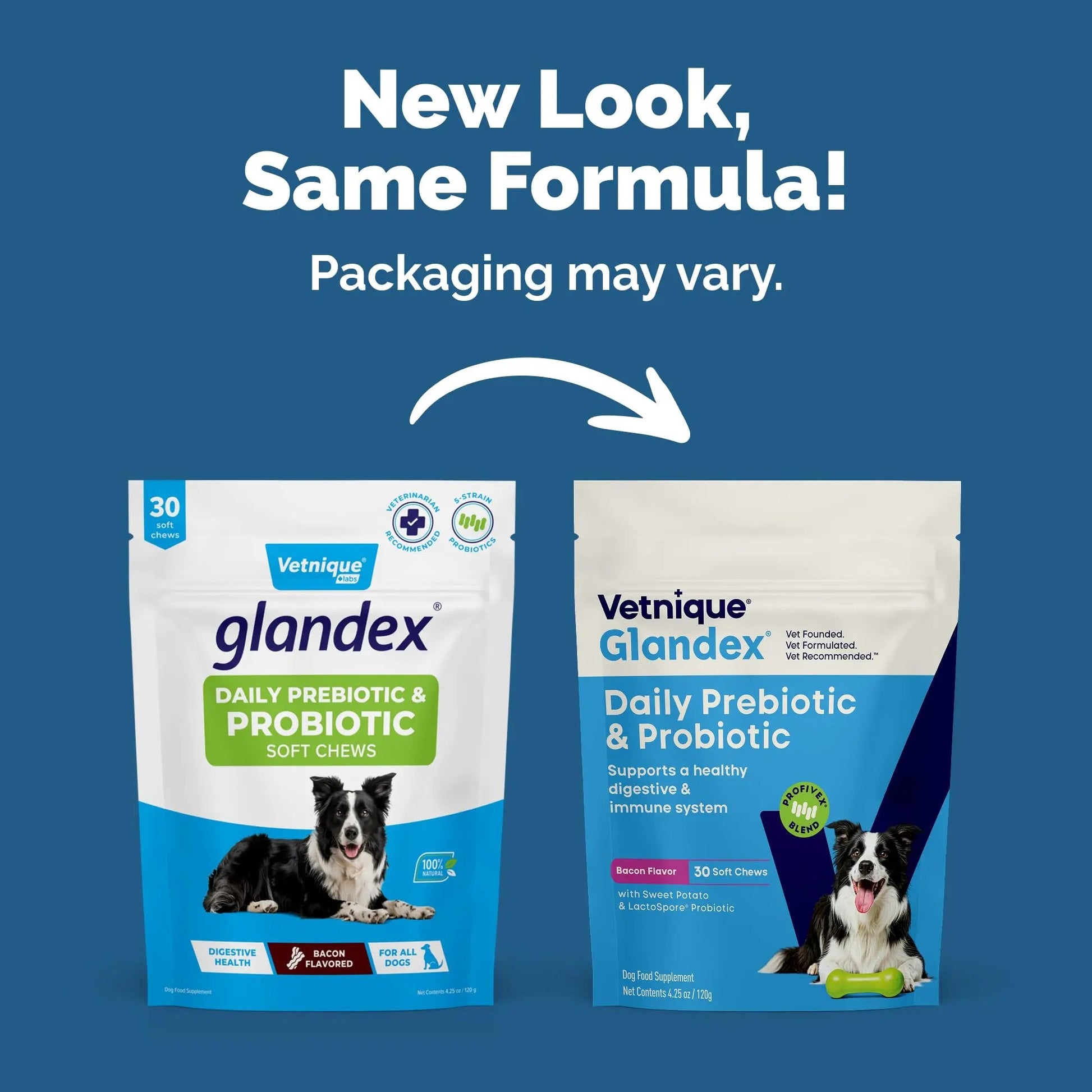 Vetnique Glandex Daily Probiotics for Dogs with Prebiotics to Support Gut Health with Fiber and Digestive Enzymes, Dog Probiotic Chews or Powders (30ct Chews, Bacon Chews) VetniqueBuy Supplements Australia