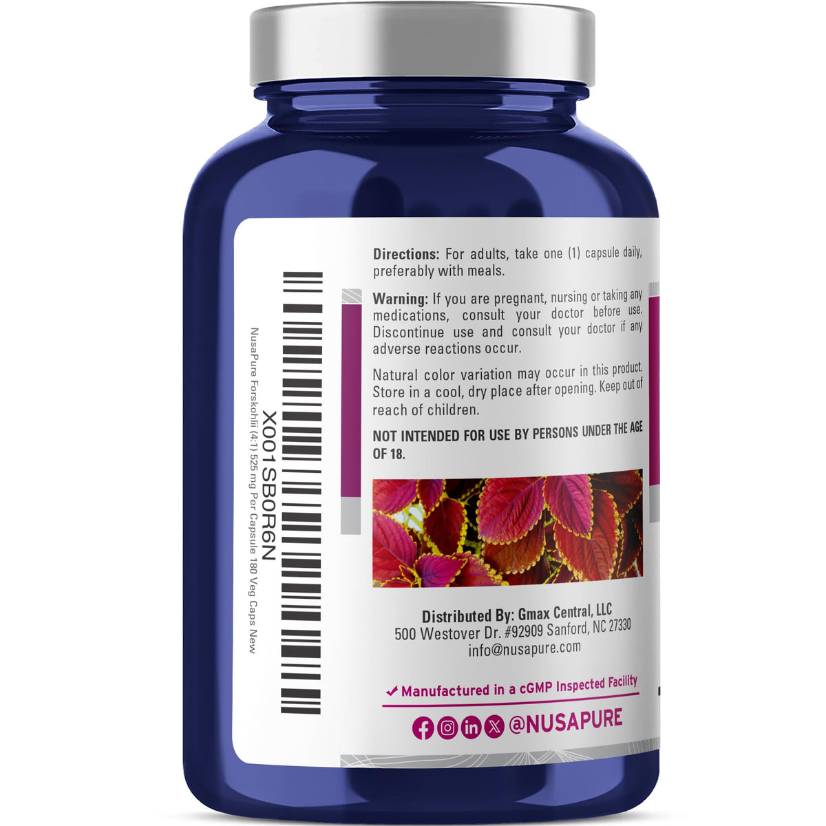 NusaPure Forskohlii 4:1 Extract, 525 mg Equivalent to 21,00 mgper Veggie Caps - 180 Capsules (Non-GMO, Vegan & Gluten Free) NusaPureBuy Supplements Australia