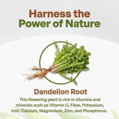 Go Nutra - Dandelion Root Powder, Potent 10:1 Dandelion Root Extract with 4% Flavonoids Go NutraBuy Supplements Australia