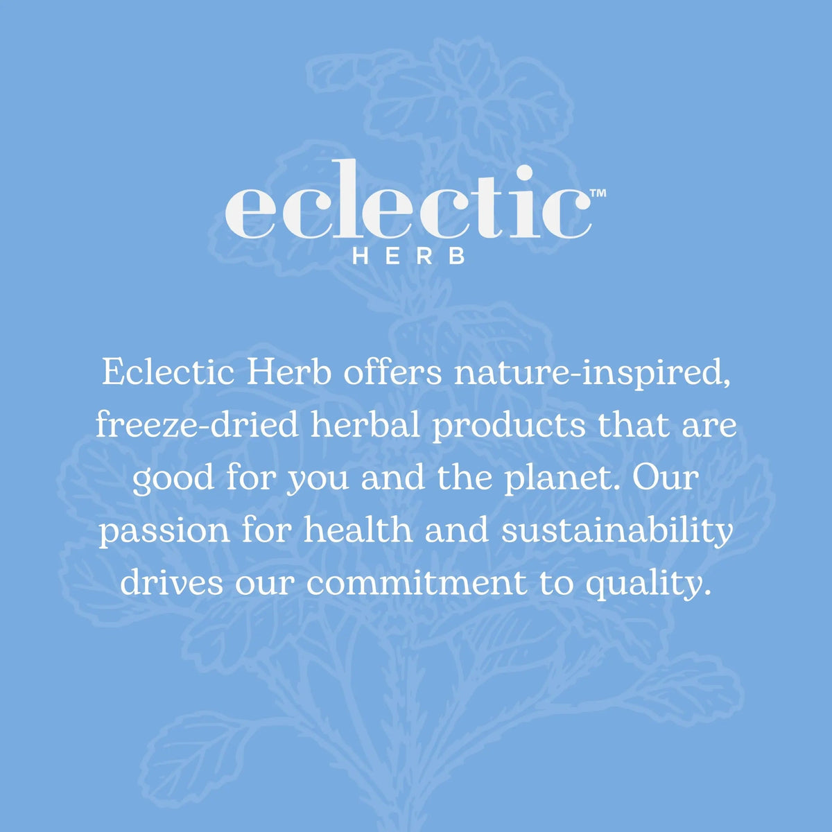 Eclectic Institute Stone Root O 2 Ounce ECLECTIC INSTITUTEBuy Supplements Australia