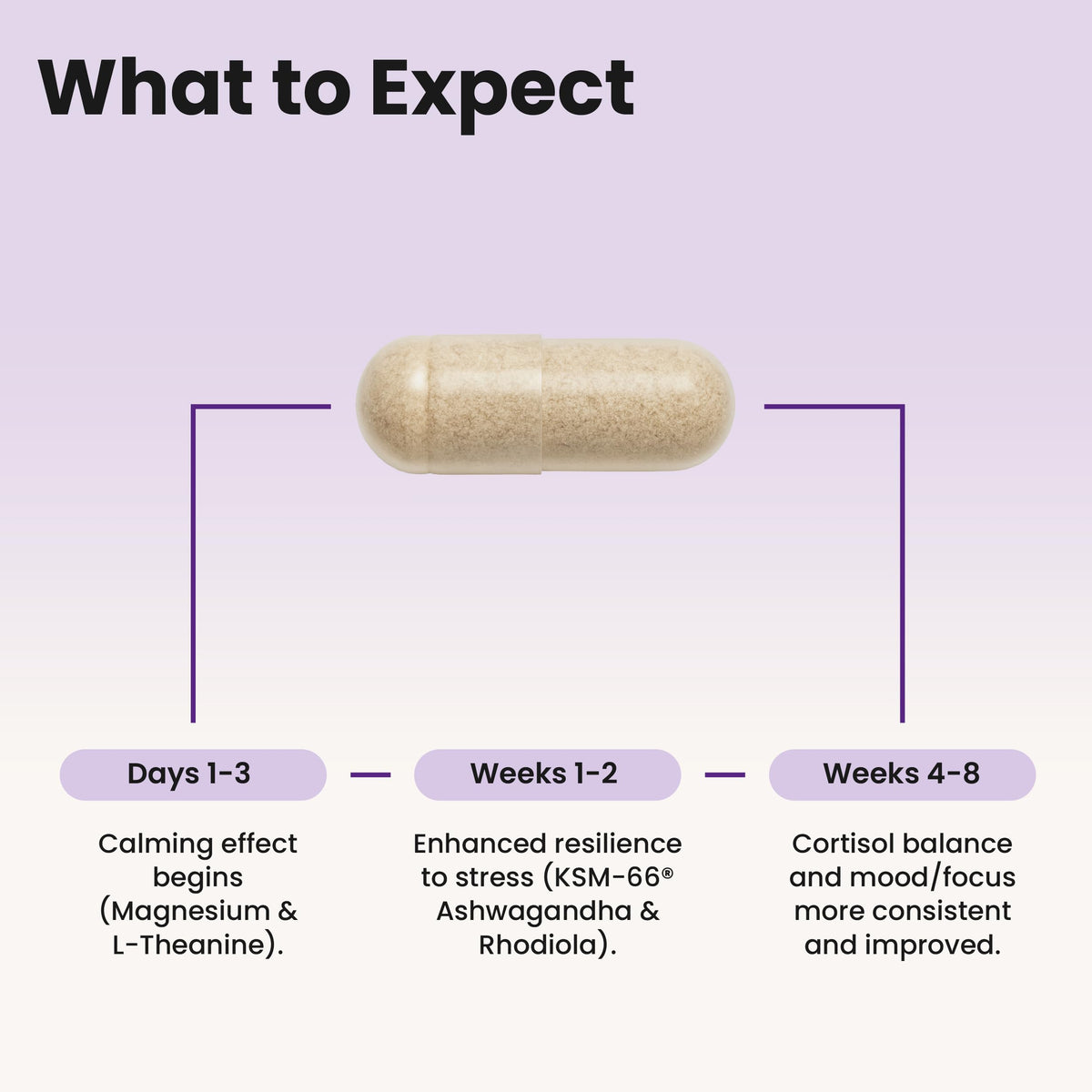 WellPath Soothe Cortisol Manager - Cortisol Supplements for Women with KSM-66® Ashwagandha & L-Theanine - Stress Support, Detox - 11-in-1 Complex, Vegan, Made in USA, Non-GMO, 60 Ct WellPathBuy Supplements Australia