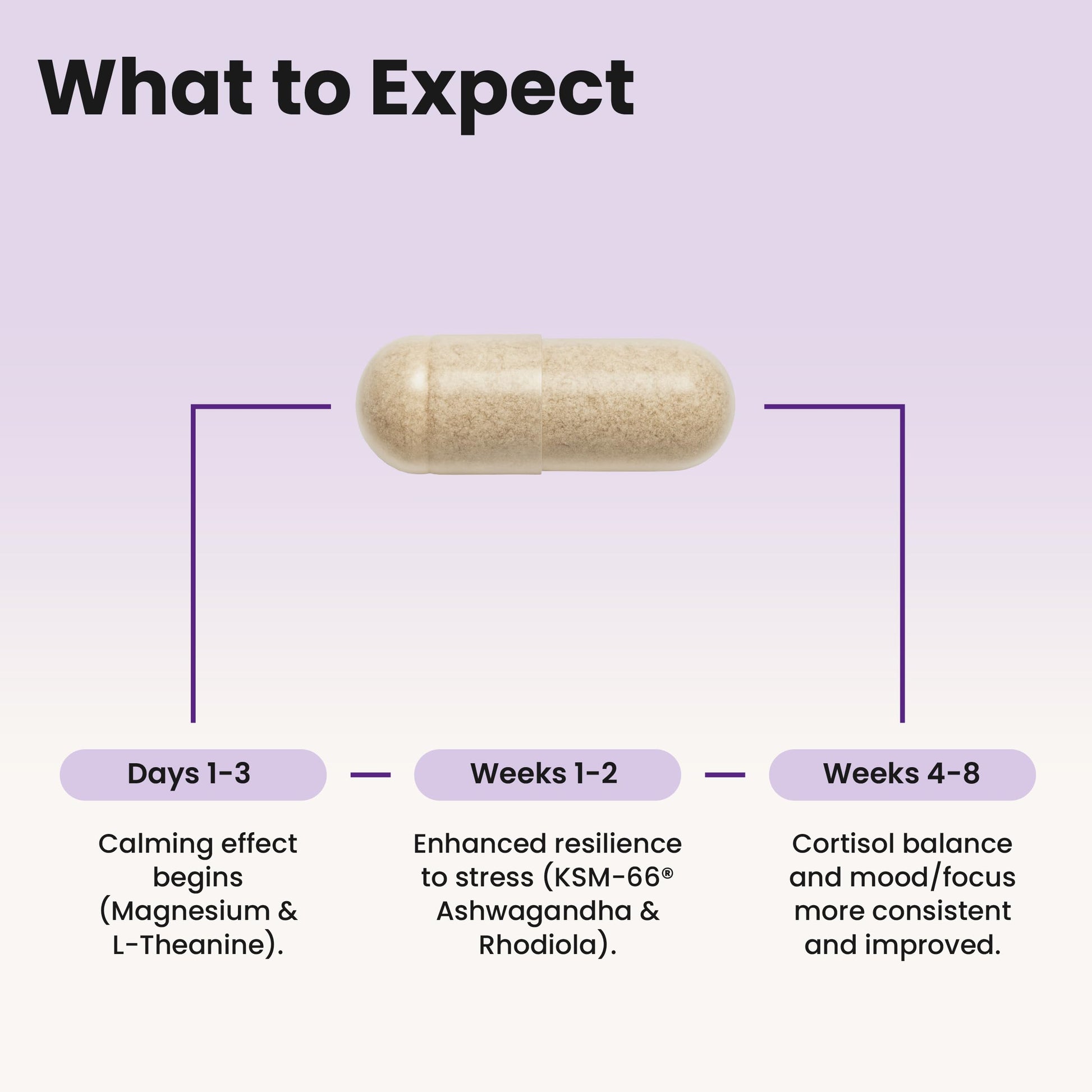 WellPath Soothe Cortisol Manager - Cortisol Supplements for Women with KSM-66® Ashwagandha & L-Theanine - Stress Support, Detox - 11-in-1 Complex, Vegan, Made in USA, Non-GMO, 60 Ct WellPathBuy Supplements Australia