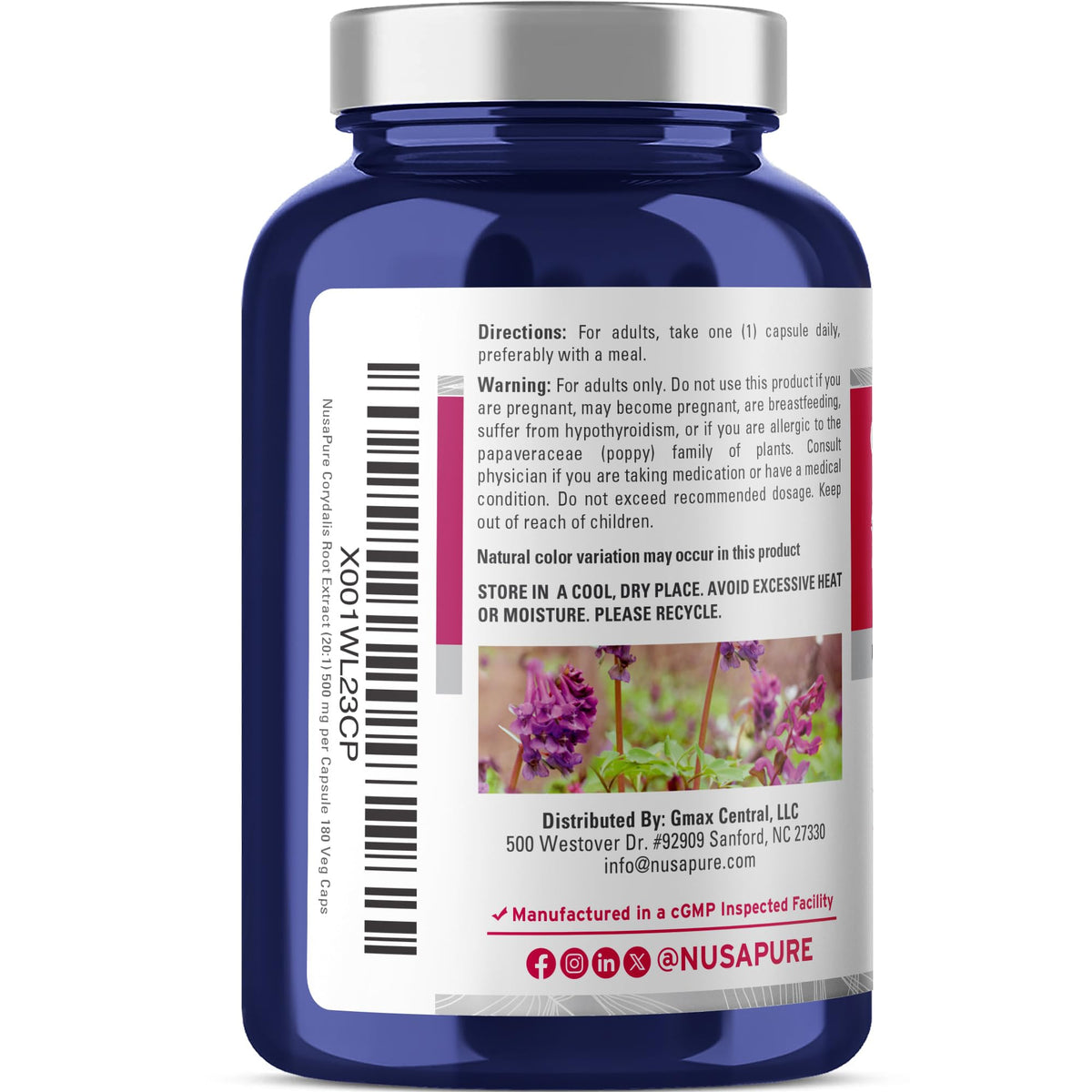 NusaPure Corydalis Root Extract 20:1 - Suitable for Vegetarian/Vegan, Non - GMO - 1000 mg - 180 Capsules NusaPureBuy Supplements Australia