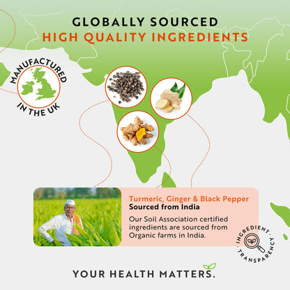 Organic Turmeric 1440mg (High Strength) with Black Pepper & Ginger - 180 Vegan Turmeric NutravitaBuy Supplements Australia