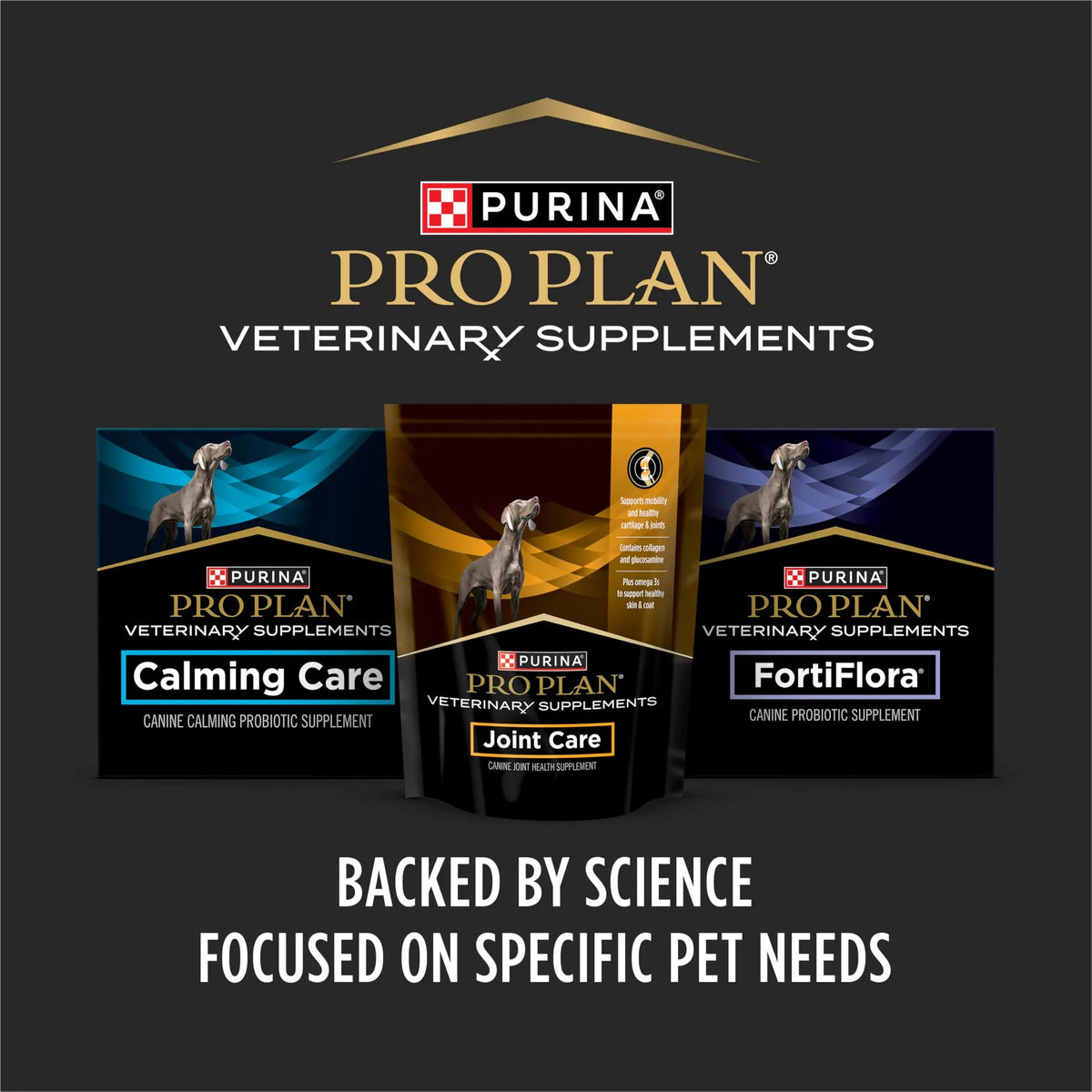 Purina Pro Plan Veterinary Supplements FortiFlora Daily Probiotics for Dogs Chewable Tablets for Digestive Gut Health and Diarrhea - 90 ct. Canister Pro Plan Veterinary DietsBuy Supplements Australia