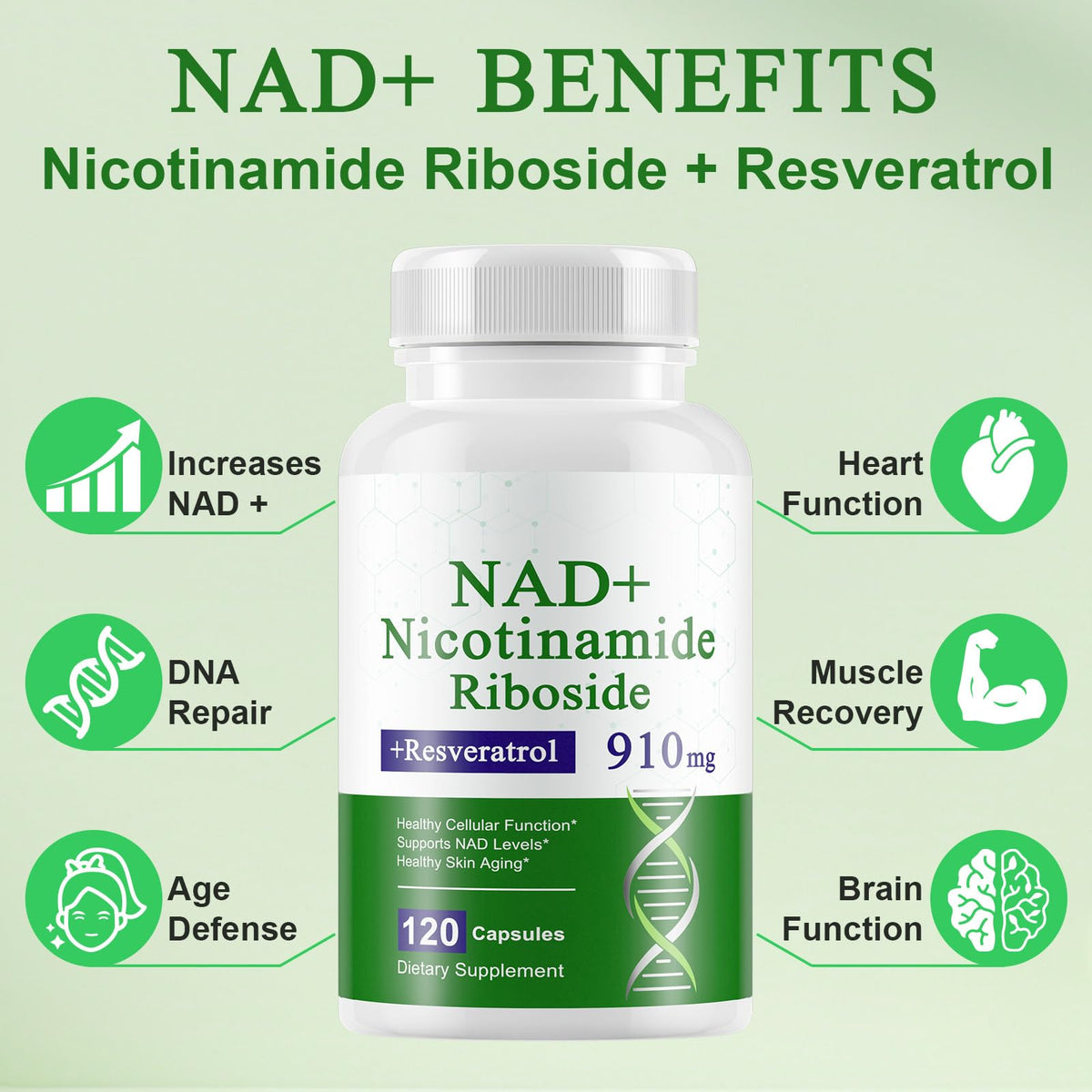 A r b c r n 120 Capsules NAD+ Supplement,NAD Nicotinamide Riboside Resveratrol 910mg for Men and Women, NR Supplement for Energy Anti-Aging Focus A r b c r nBuy Supplements Australia
