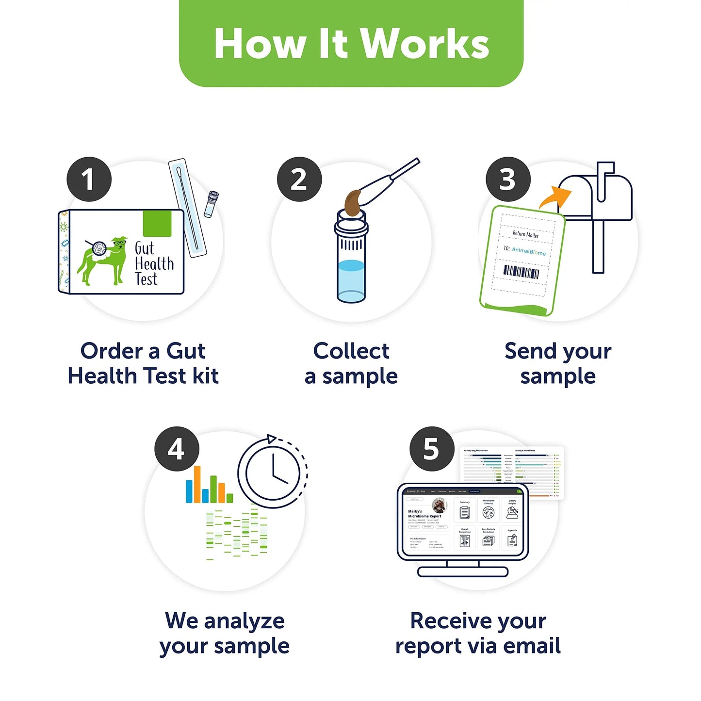 AnimalBiome Dog Gut Health Test – DoggyBiome At Home Stool Testing Kit, Canine Fecal Analysis for Digestive Issues, Diarrhea & Allergy Insights w/Personalized Report & Custom Plan (Dogs in US) AnimalBiomeBuy Supplements Australia