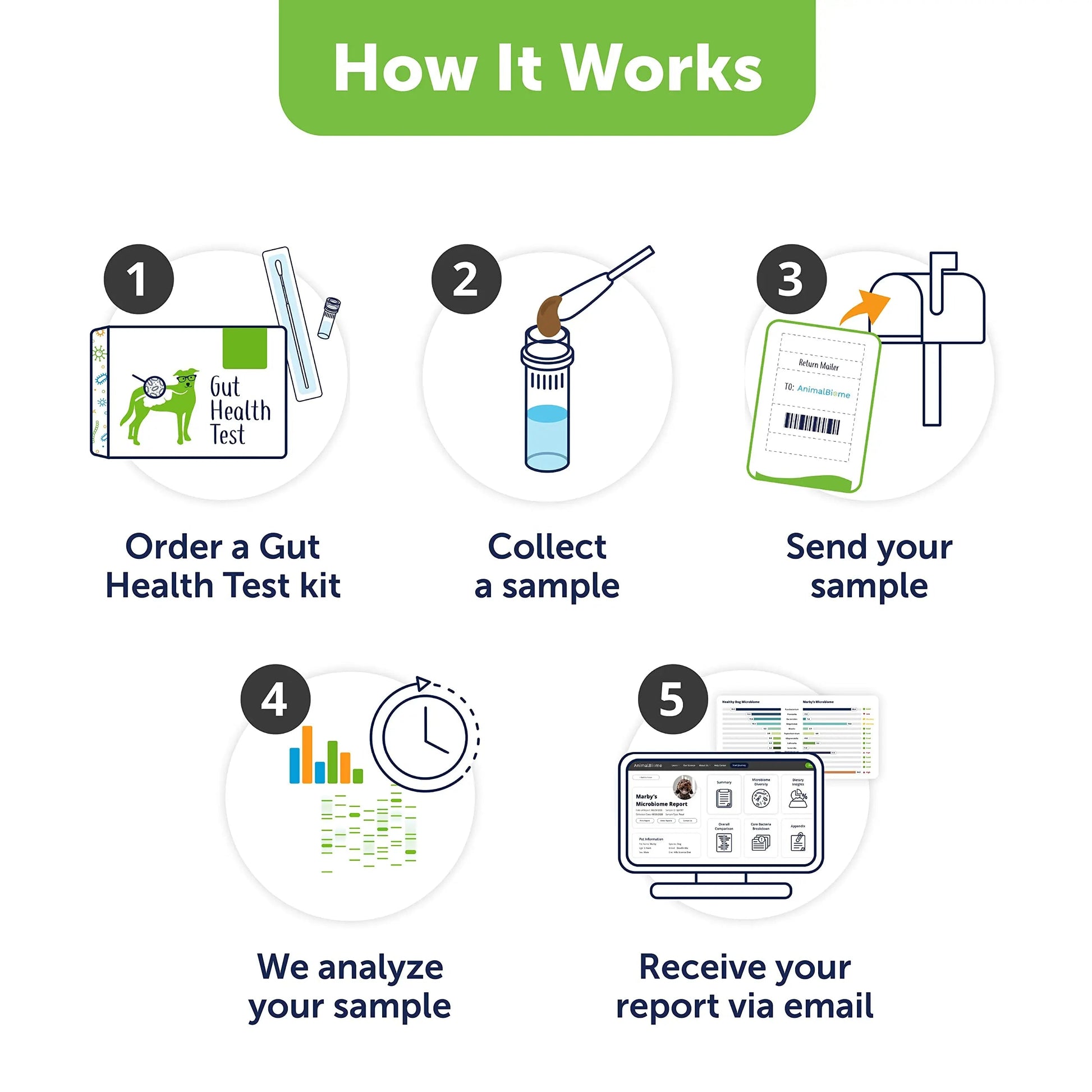 AnimalBiome Dog Gut Health Test – DoggyBiome At Home Stool Testing Kit, Canine Fecal Analysis for Digestive Issues, Diarrhea & Allergy Insights w/Personalized Report & Custom Plan (Dogs in US) AnimalBiomeBuy Supplements Australia