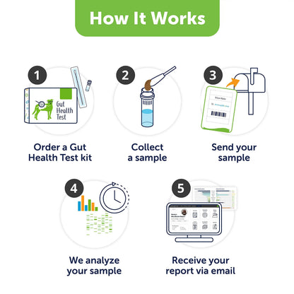AnimalBiome Dog Gut Health Test – DoggyBiome At Home Stool Testing Kit, Canine Fecal Analysis for Digestive Issues, Diarrhea & Allergy Insights w/Personalized Report & Custom Plan (Dogs in US) AnimalBiomeBuy Supplements Australia